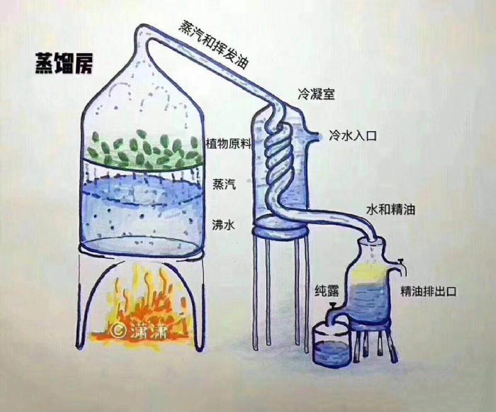 1604567339967702.png 1.jpg