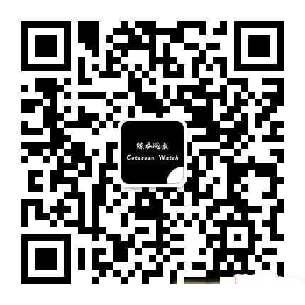 1604567339967702.png 6.jpg