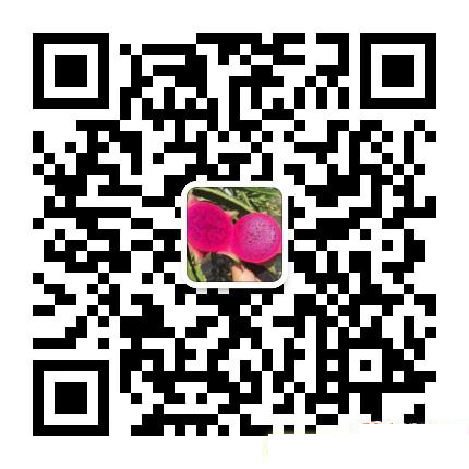 1604567339967702.png 1.jpg