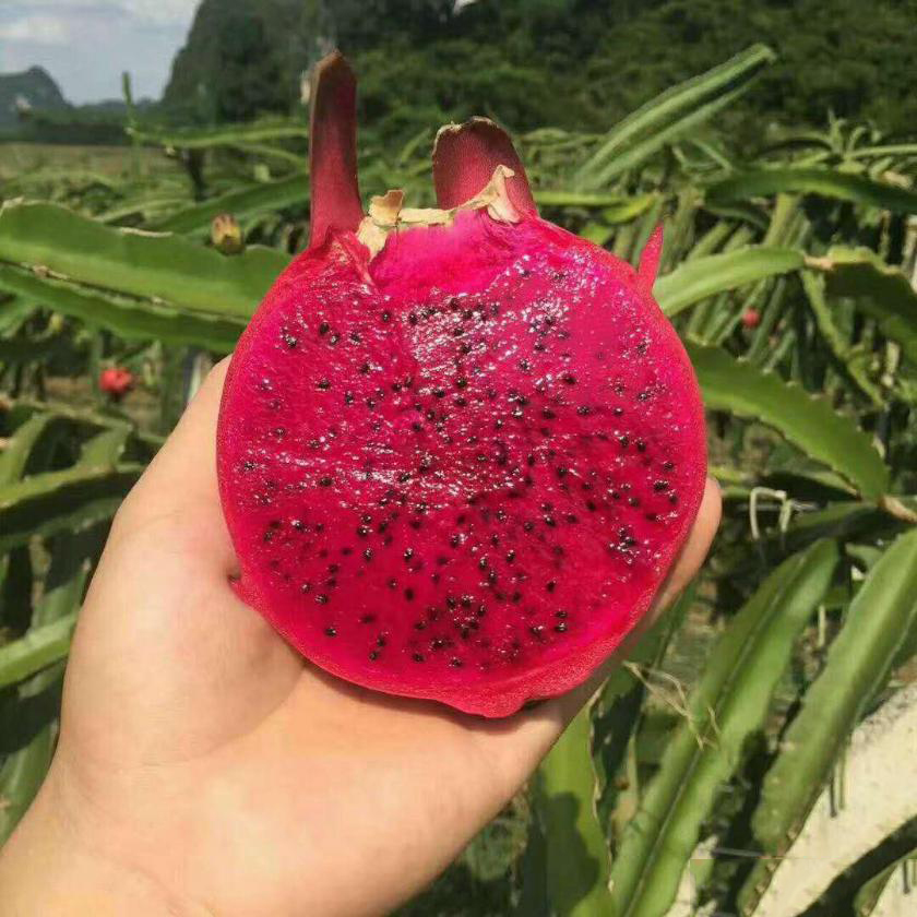 1604567339967702.png 2.jpg