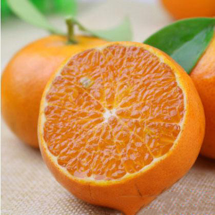 1604567339967702.png 7.jpg