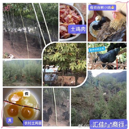 1604567339967702.png 1.jpg