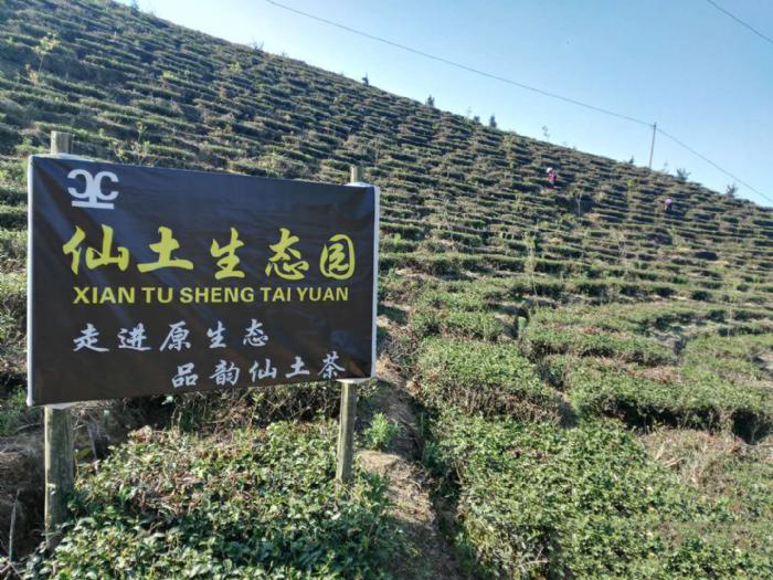 1604567339967702.png 1.jpg