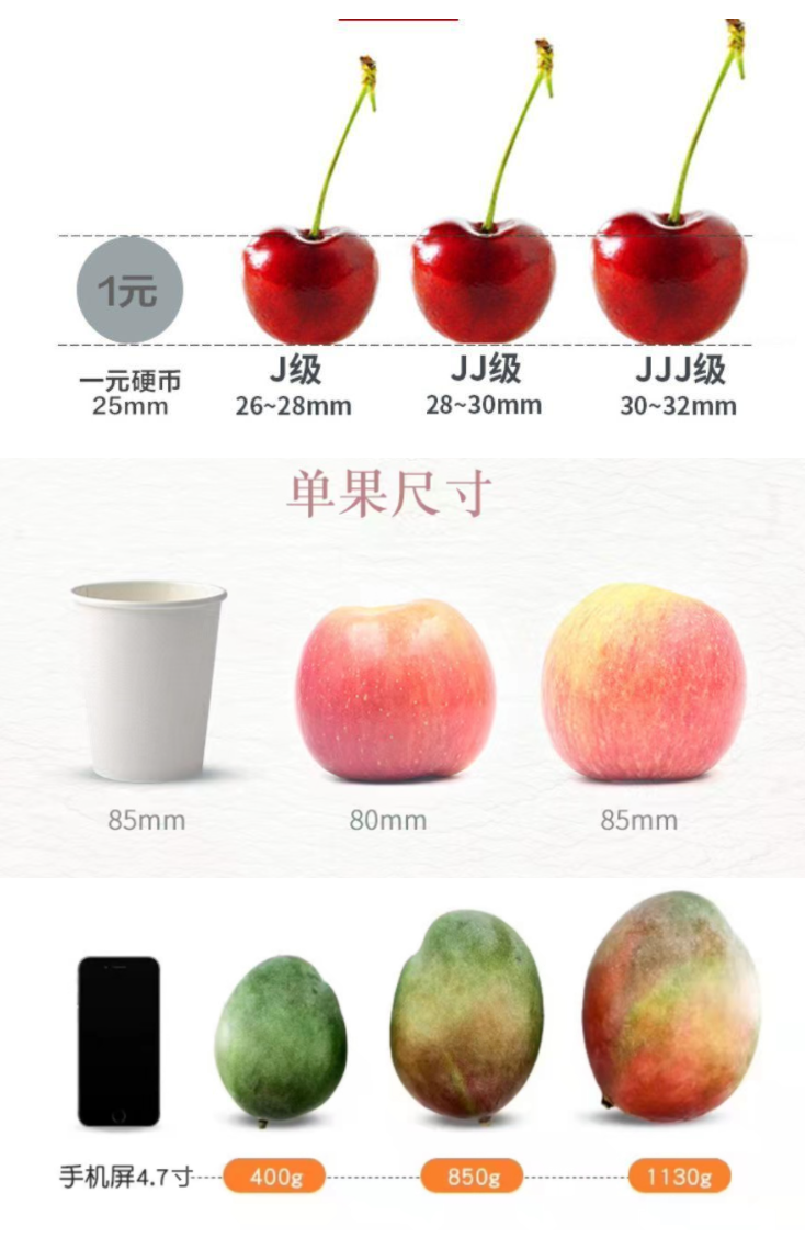 5a712d12a743a9810f93684095346f67_19(127).png